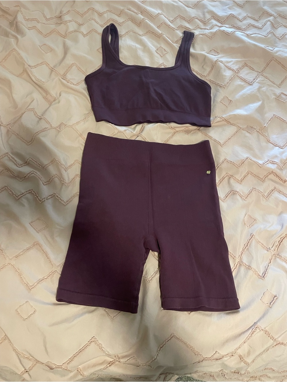 Fabletics Ribbed Bike Shorts and Crop Top Set - Deep Plum